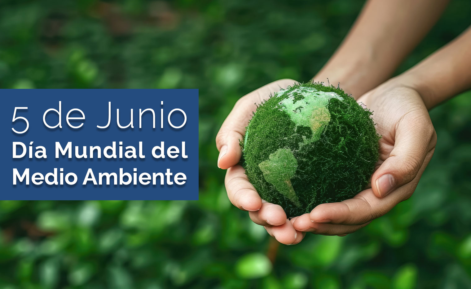 5 de junio - Día mundial del medio ambiente