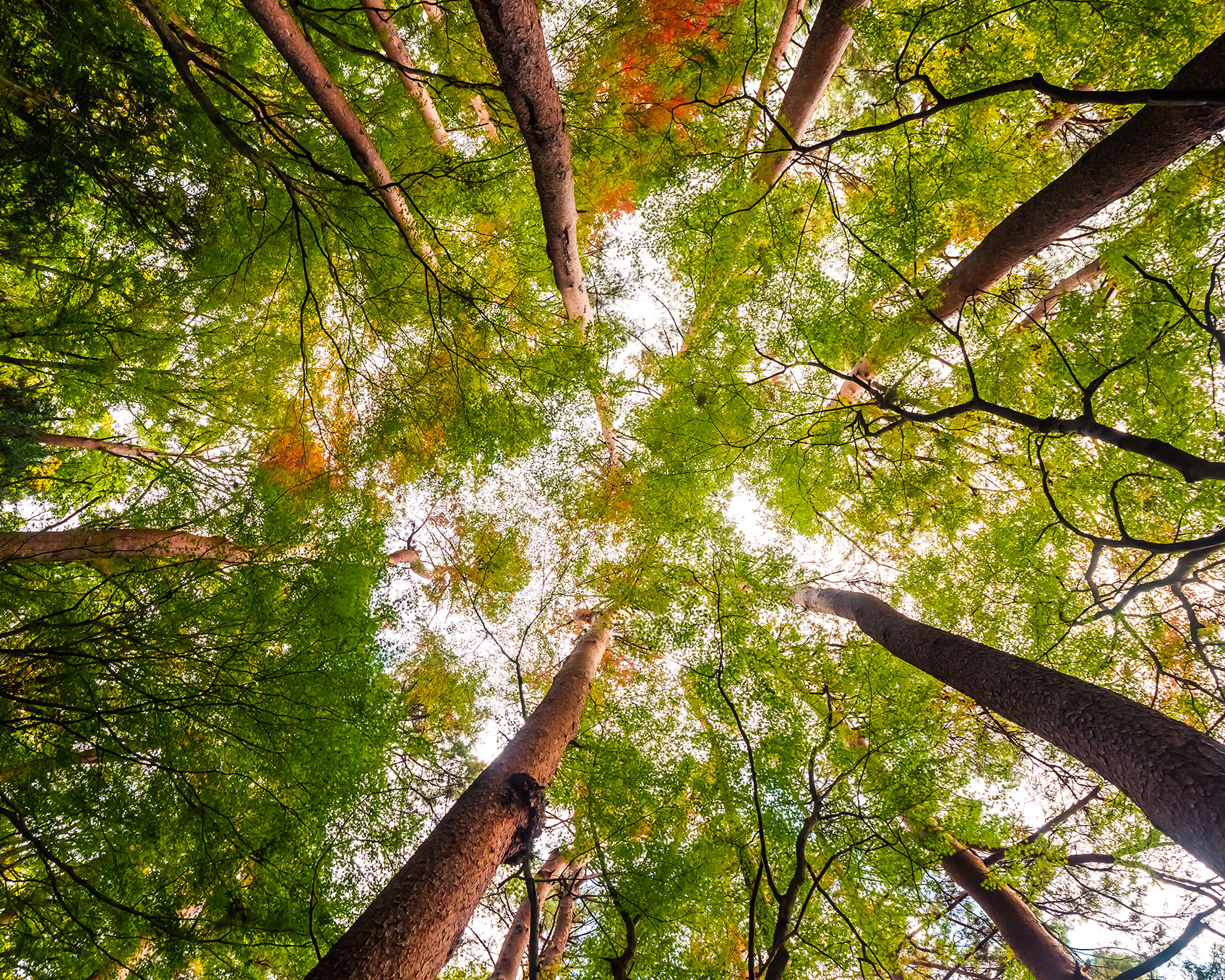 productos de higiene y desinfección respetuosos con el medio ambiente